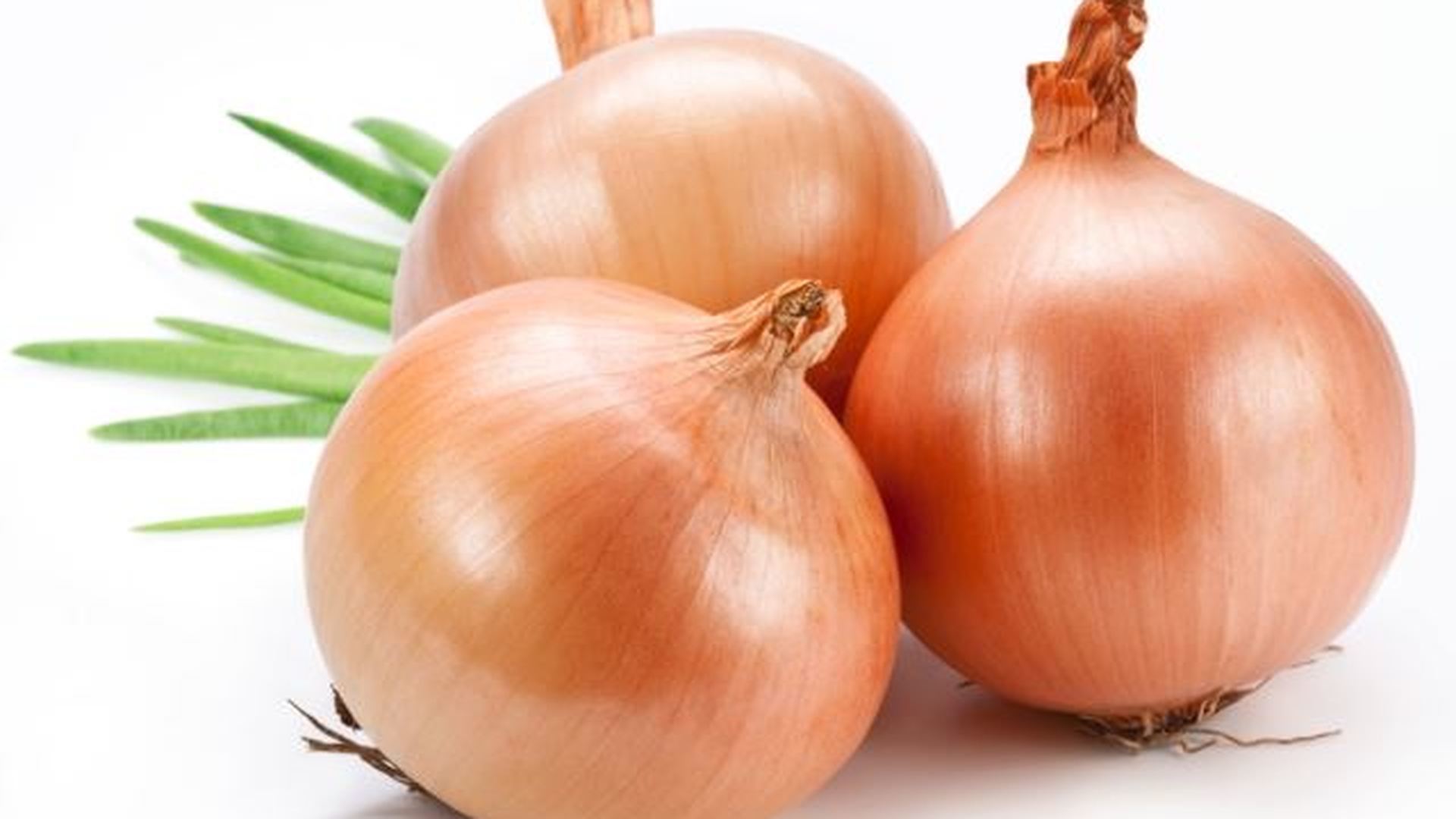 лук